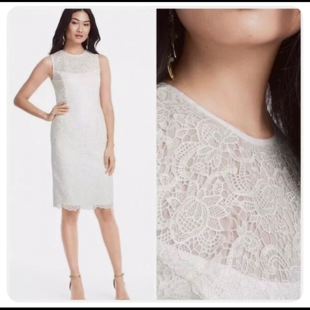 ❤️ NWT Elegant Lace Ivory Cream Dress 6